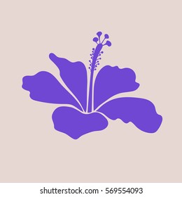 Hand drawn hibiscus isolated, violet and neutral single decorative flower. Vector illustration. Vector colorful floral icon.