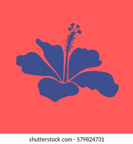 Hand drawn hibiscus isolated, violet and pink single decorative flower. Vector illustration. Vector colorful floral icon.