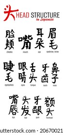 Hand drawn Hieroglyph translate head structure. Vector japanese black symbol on white background with text. Ink brush calligraphy. Chinese calligraphic letter icon