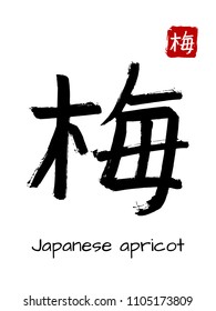Hand drawn Hieroglyph translate Japanese apricot . Vector black symbol on white background with text. Ink brush calligraphy with red stamp(in japan-hanko). Chinese calligraphic letter icon
