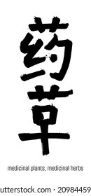 Hand drawn Hieroglyph translate medicinal herbs, drug plants. Vector japanese black symbol on white background with text. Ink brush calligraphy. Chinese calligraphic letter