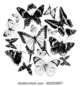 Hand drawn highly detailed butterflies set. Vector illustration