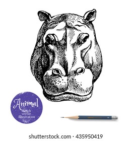 Hand drawn hippo animal vector illustration. Sketch isolated hippopotamus portrait on white background with pencil and label banner