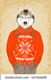 Hand Drawn Hipster Husky Dog Wears Jacquard Sweater. Vector illustration, eps10.