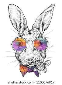 Hand drawn hipster style portrait of Funny Rabbit in glasses. Vector illustration isolated on white