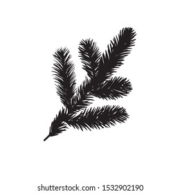 Hand drawn Holiday illustration. Creative ink art work. Actual vector drawing Christmas tree's twig isolated on white background