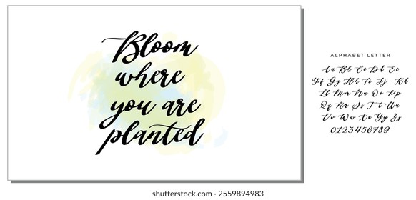 Hand drawn holiday lettering. Ink illustration. Modern brush calligraphy. Isolated on white background. Bloom where you are planted.