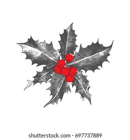 Hand drawn holly berry Christmas icon.
