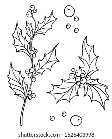 Hand drawn holly branch with holly berries . Traditional New year and Christmas decoration. Black and white ink line art.