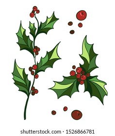 Hand drawn holly branch with red holly berries . Traditional New year and Christmas decoration.