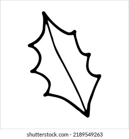 Hand Drawn Holly Leaf Doodle Vector Stock Vector (Royalty Free ...