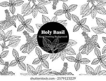 Hand drawn holy basil background. minimalist design, background, packaging design, symbols, aromatic, food, menu