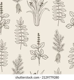 Hand drawn holy basil, curry, shatavari, palmarosa seamless pattern