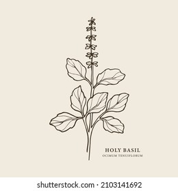 75,258 Flower labels line drawing 图片、库存照片和矢量图 | Shutterstock