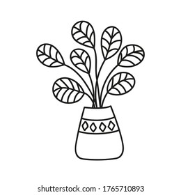 Hand drawn home flower in a pot. Botanical garden illustration isolated on white background. Doodle graphic elements for your design. Icon, postcard, invitation.