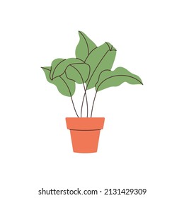 Hand drawn home plant element for your design