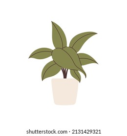 Hand drawn home plant element for your design