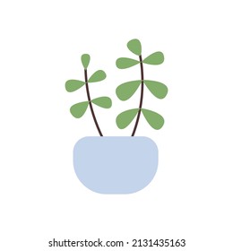 Hand drawn home plant element for your design