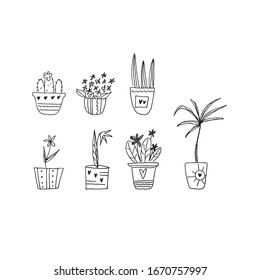 hand drawn home plants collection in doodle style in vector. decorative home plants