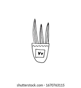 hand drawn home plants collection in doodle style in vector. decorative home plants