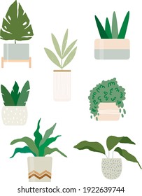 Hand drawn home plants in pots vector collection. Beautiful flat design illustration green set. Scandi home gardening concept. Flat design vector. Design element. Trendy floral interior element 