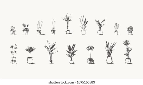 Hand Drawn Home Plants. Trendy House Greenery in Pots. Vector Illustration, Sketch