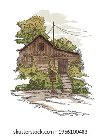 Dibujo manual de la ilustración vectorial con árboles.