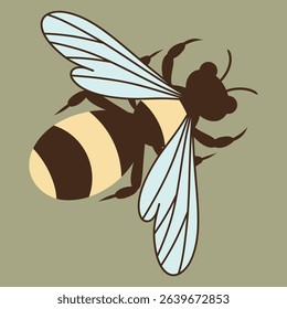 Hand drawn Honey bee on a sage background. Drawing of a bee insect, vector illustration
