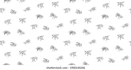 Hand drawn honey bee seamless pattern. Endless vector print with line insect drawn by ink. Monochrome realistic animal drawing sketch illustration isolated on white background.
