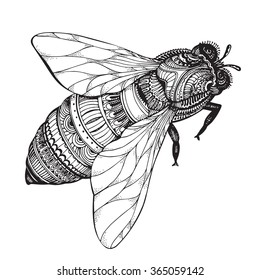 Hand drawn honey bee in zentangle style  Black   white vector illustration 