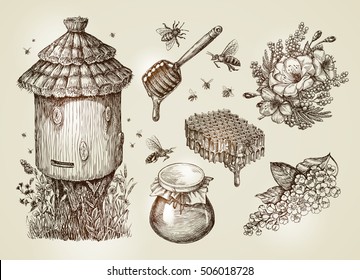 Hand drawn honey, beekeeping, bees. Collection vintage sketch vector illustration