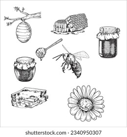 hand drawn honey, bees, honeycombs and other thematic drawings