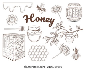 Hand drawn honey collection. Honey, bees, flowers. Set of monochrome objects. Vector illustration. Isolated on white.