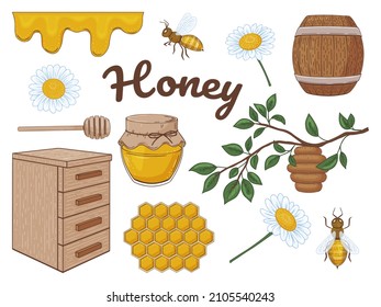 Hand drawn honey collection. Honey, bees, flowers. Set of color elements. Vector illustration. Isolated on white.