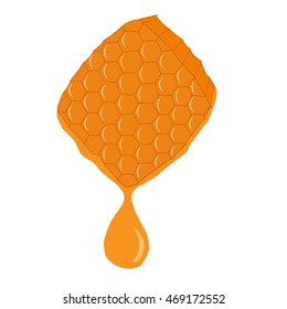 Hand drawn honey comb with a drop of honey isolated on white background. Vector illustration.