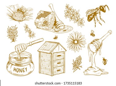 Hand drawn honey flat sketch set. Vintage design elements for flyers with bees, honeycomb and flowers isolated vector illustration collection. Organic food and natural product concept