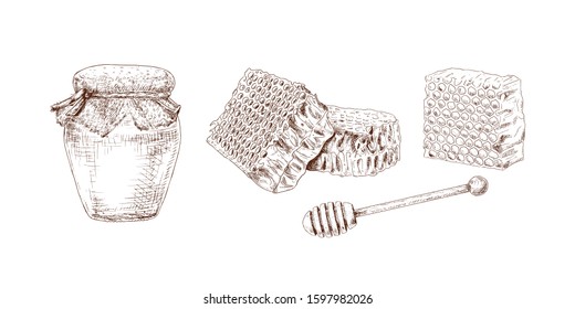 Hand drawn honey jar, honey comb and wooden honey dipper isolated on white background. Vector illustration.