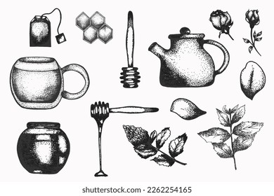 Hand drawn honey, mint, roses and tea elements Illustration set. Detailed retro style clipart in black and white. Vintage sketch clip art for labels, packaging and cards design. Herbal tea collection
