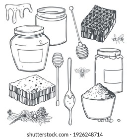 Hand drawn  honey set.  Vector sketch illustration.