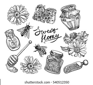 Hand drawn honey set. Vector graphic illustrations.