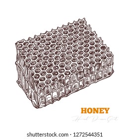 Hand drawn honeycomb isolated on white. Vector sketch for beekeeping and apiculture. Engraving illustration for honey farm. Sweet mead natural product. Bee product