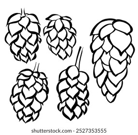 Hand drawn hop cones for beer brewery . Engraving vintage sketch vector illustration. Design elements for logo, emblem, restaurant menu, craft beer pub, brewery