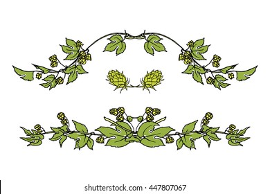 Hand drawn hop laurel and border set made in vector. Graceful garland of hop branch with leaves and cones. Romantic floral design elements.