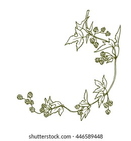 Hand drawn hop laurel made in vector. Graceful garland of hop branch with leaves and cones. Romantic floral design elements.