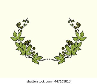 Hand drawn hop laurel made in vector. Graceful garland of hop branch with leaves and cones. Romantic floral design elements.