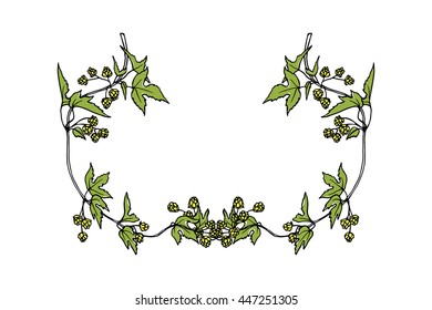 Hand drawn hop laurel made in vector. Graceful garland of hop branch with leaves and cones. Romantic floral design elements.