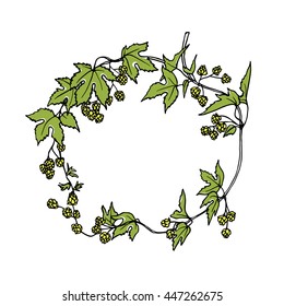 Hand drawn hop laurel made in vector. Graceful garland of hop branch with leaves and cones. Romantic floral design elements.