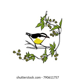 Hand drawn hop wreath with a small bird made in vector. Beautiful floral design elements, ink drawing, logo template