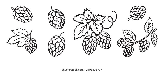 Hand drawn Hops doodle hand drawn icon set. Outline drawing hop branch with leaves and cones for beer line clipart symbol collection. Vector illustration