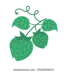 Hand drawn hops. Vector illustration of a branch of hops for making beer, beautiful logo for a brewery, labels for craft beer